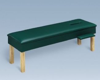 Bailey Upholstered Adjustment Treatment Bench